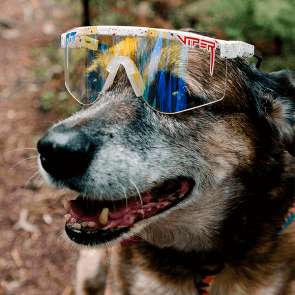Merika Night Shades óculos De Sol Pit Viper De Largura Dupla Pit Viper