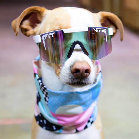 Aquecedor De Pescoço Pit Viper North Beach Tour