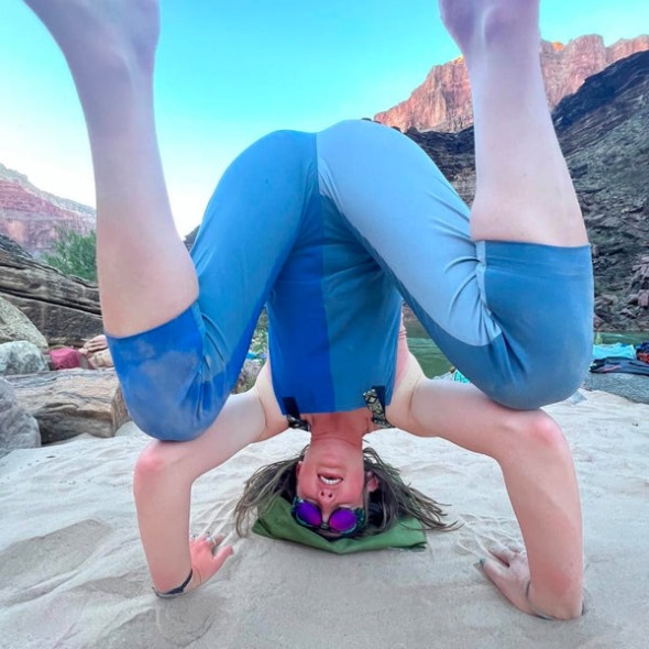 Pit Viper The Galapagos Sunset Excitadores