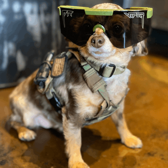 Pit Viper Njp Anos 2000