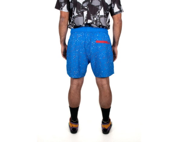 Padrasto Víbora De Fita Azul Curta