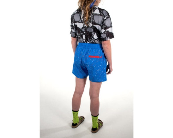 Padrasto Víbora De Fita Azul Curta