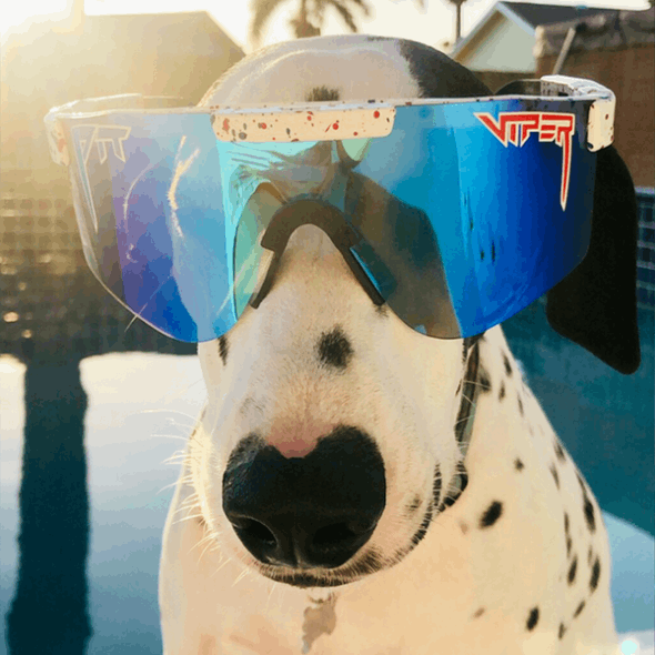 óculos De Sol Pit Viper Polarizados De Largura Absoluta Liberdade Absoluta Pit Viper