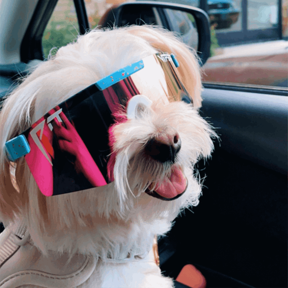 O Gobby Polarized Double Wide Pit Viper