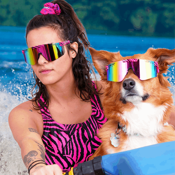 Os Trópicos Quentes Dos Anos 2000 Pit Viper