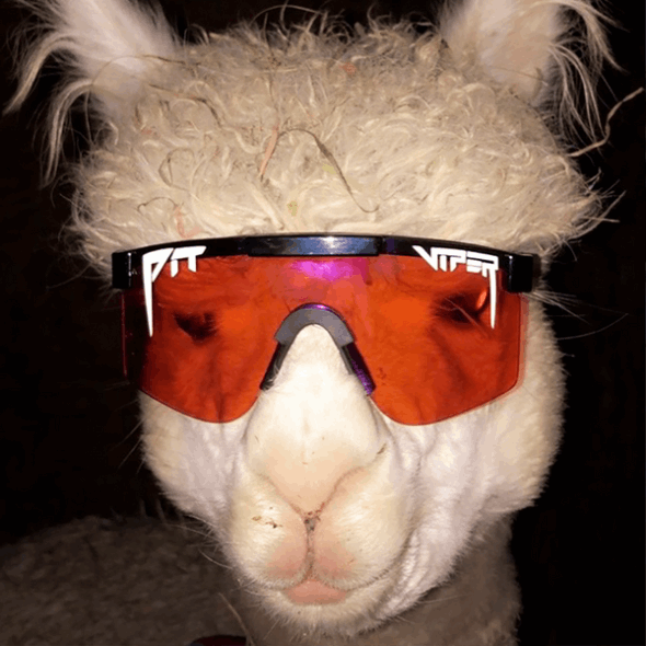 O Lançador De Lama Pit Viper